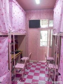 郑州爆料搬宿舍视频最新,搬宿舍视频引发热议,校园生活新篇章开启 第2张 郑州爆料搬宿舍视频最新,搬宿舍视频引发热议,校园生活新篇章开启 第2张