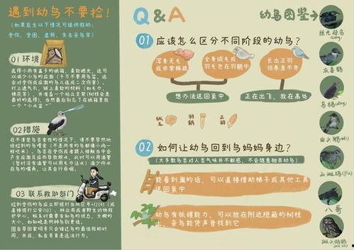 浙江新闻媒体爆料热线官网,24小时守护市民知情权  第2张